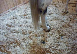 Soft rubber horse mats